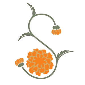 Saffron Marigold 